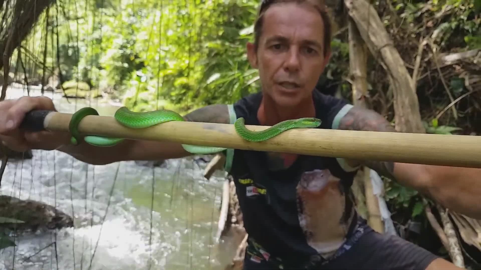 Traditional snake charmer demonstrating handling techniques