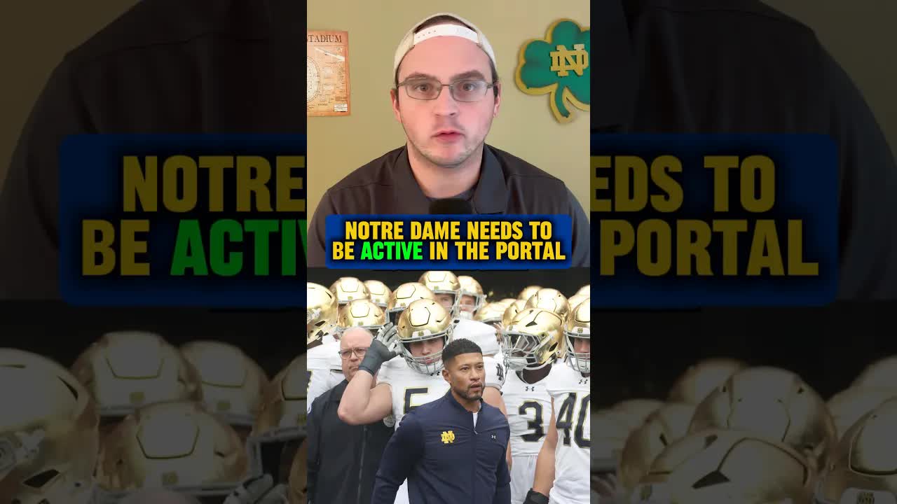 Key spots on the #Irish D-Line could be plugged with talent from the portal 👀 #football #shorts