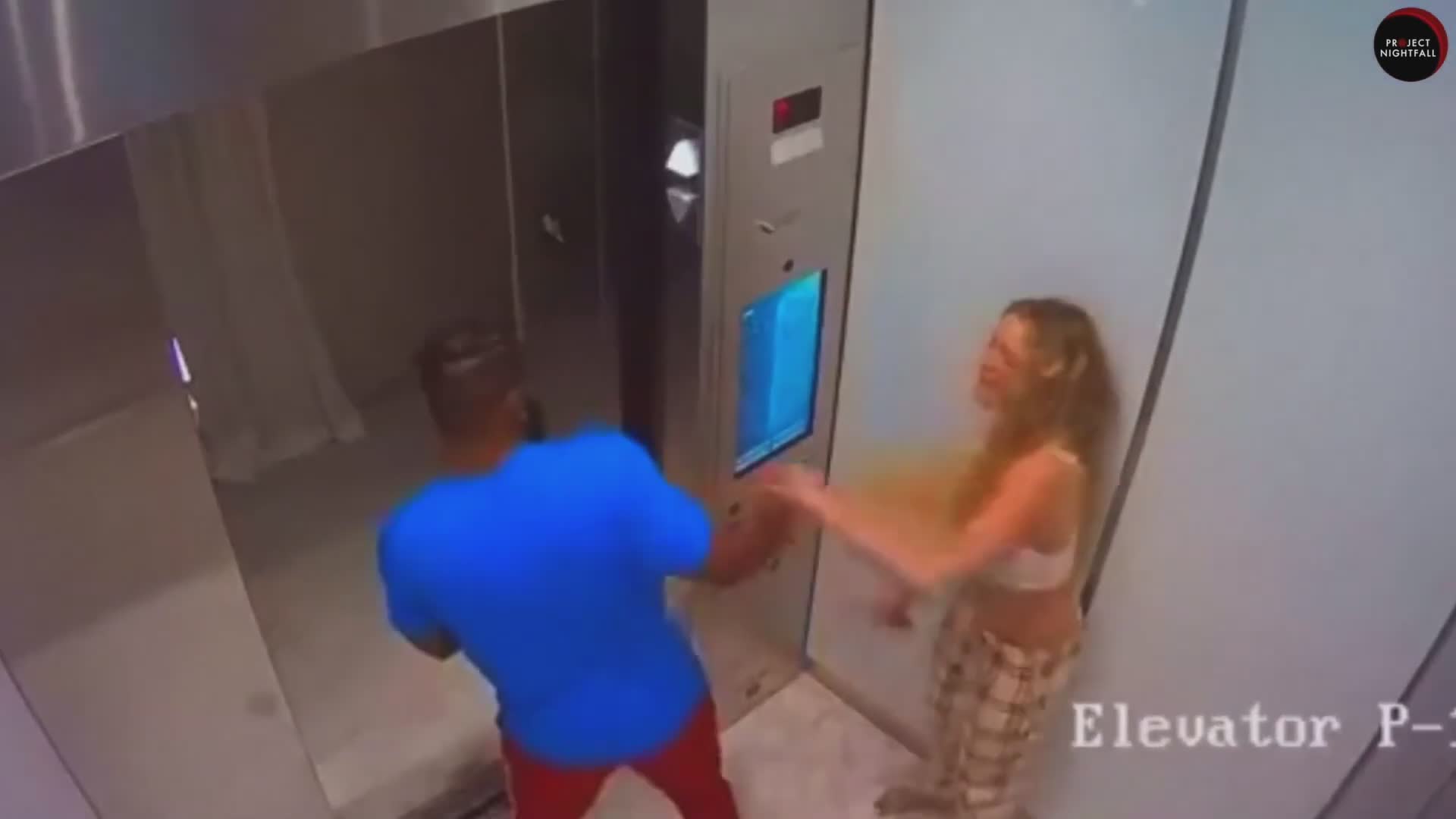 Performer's domestic violence led to partner's death