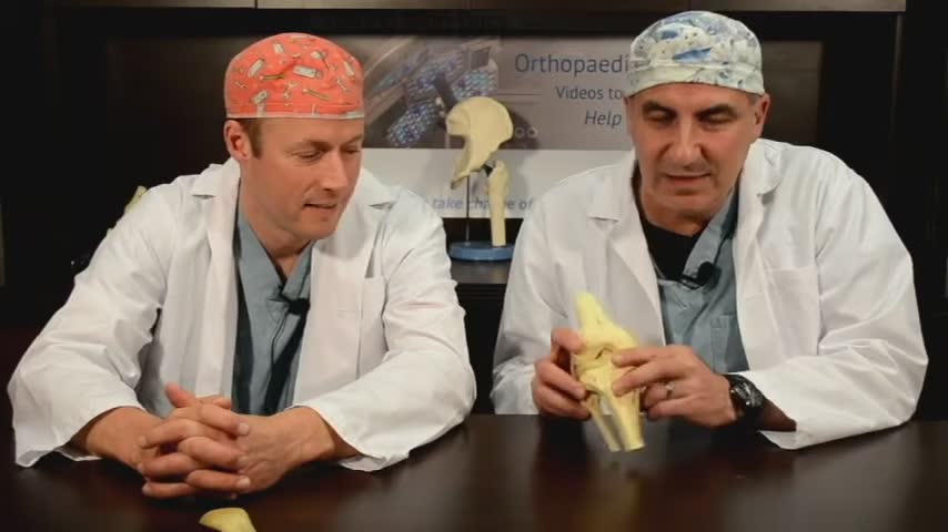 Detailed explanation of knee joint structures and function