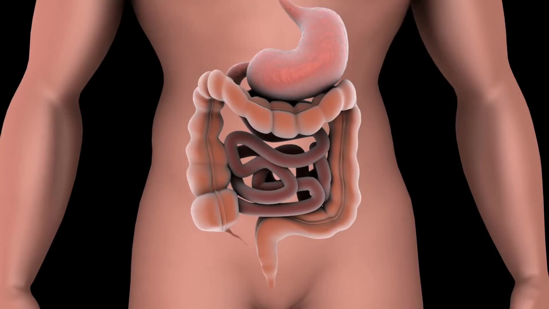 Gut health facts that will amaze you