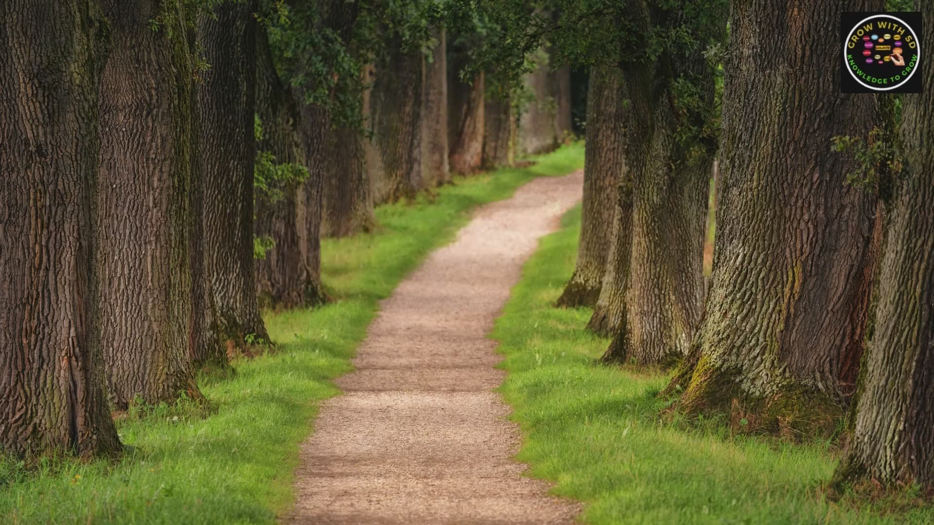 Stress management for challenging times