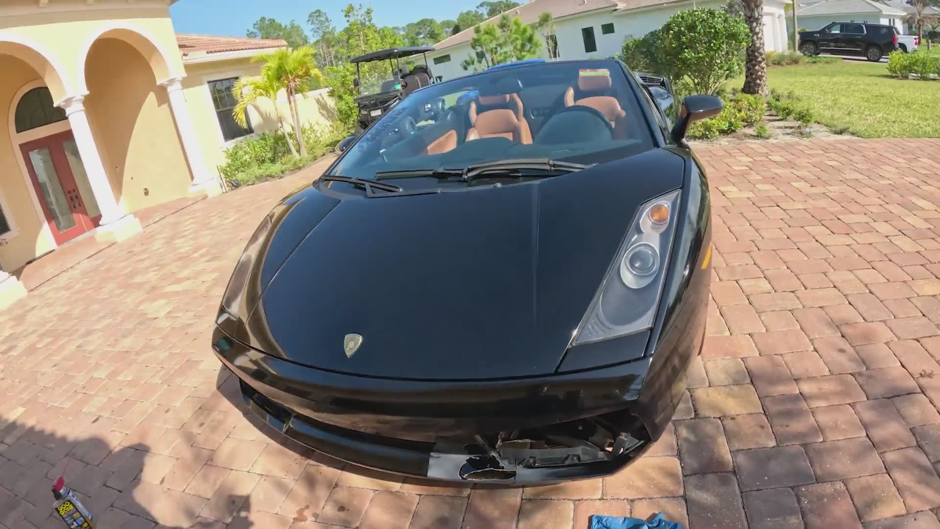 Essential skill required for Italian exotic ownership