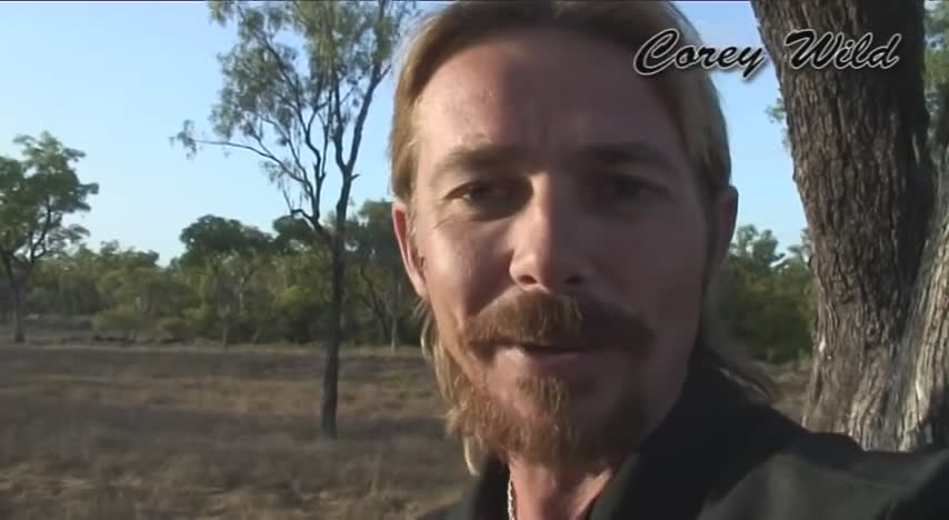 Experiencing traditional Australian outback cattle muster