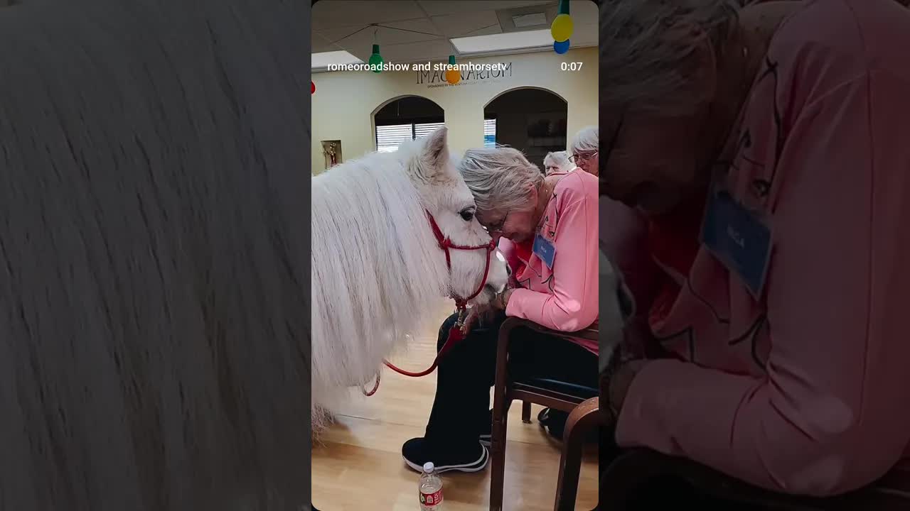 Romeo making a 💞 connection!! 💕🦄