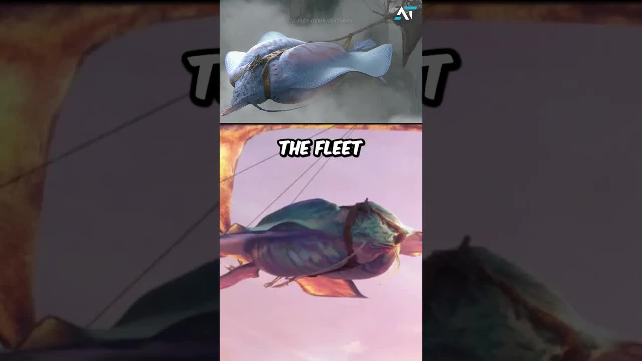 Windray | Avatar Lore - Shorts