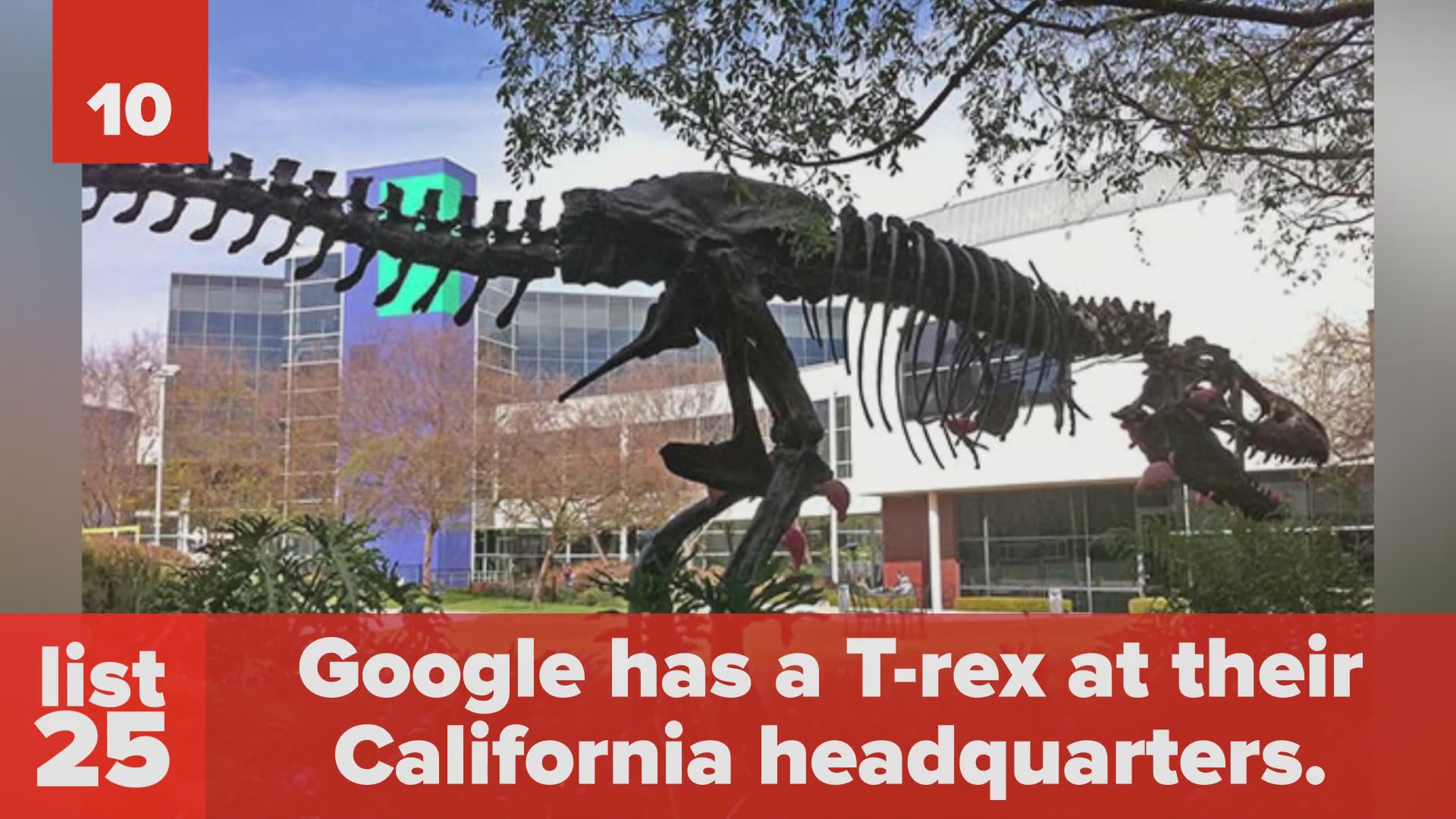 Awesome facts about Google you'll be glad to know