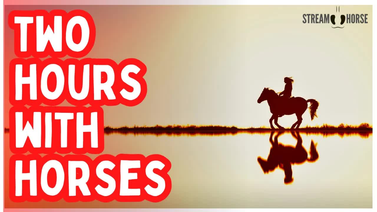 2 Hours of Horses & Nature for Background Calm 🐎✨ Work, Study & Mental Break