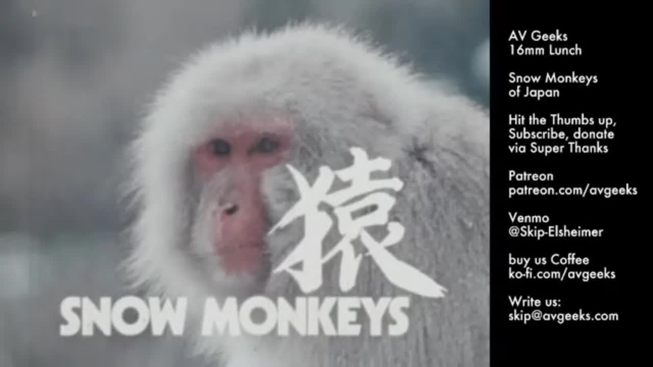 A/V Geeks 16mm Lunch 1-19-2026