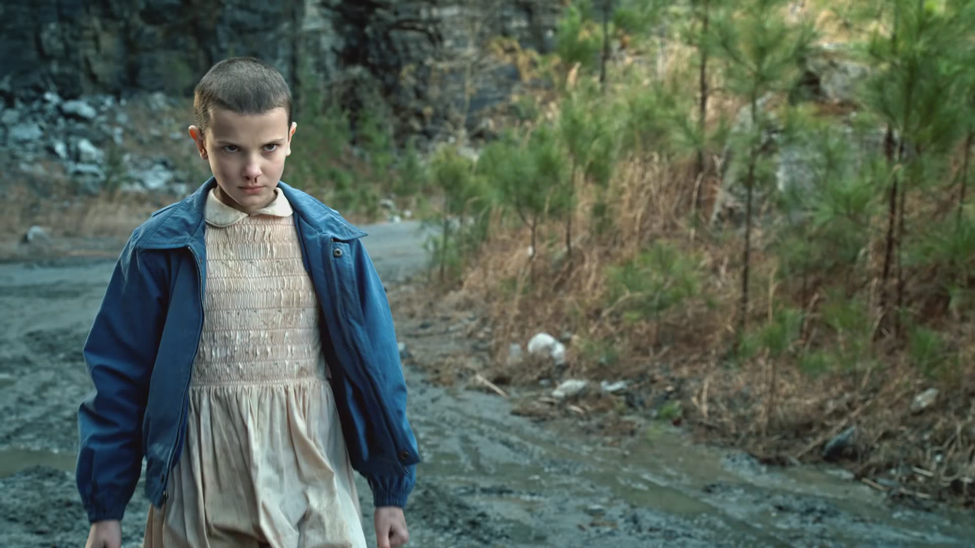Best facts about Stranger Things