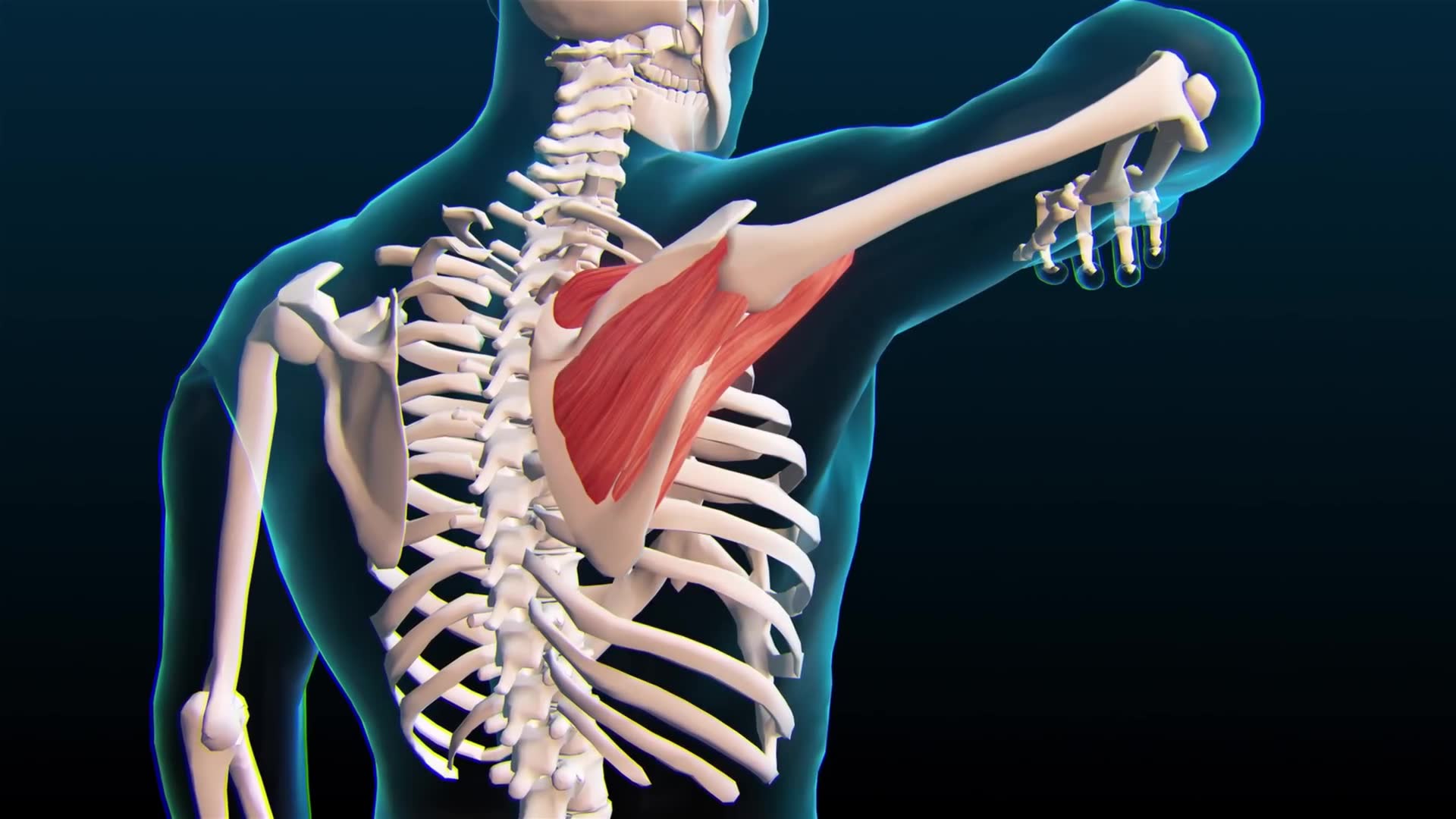 Frozen shoulder comprehensive treatment