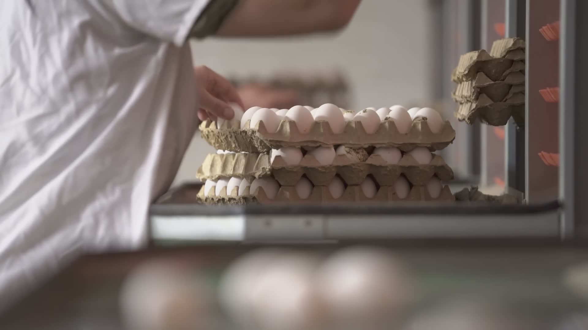 Daily egg consumption advice