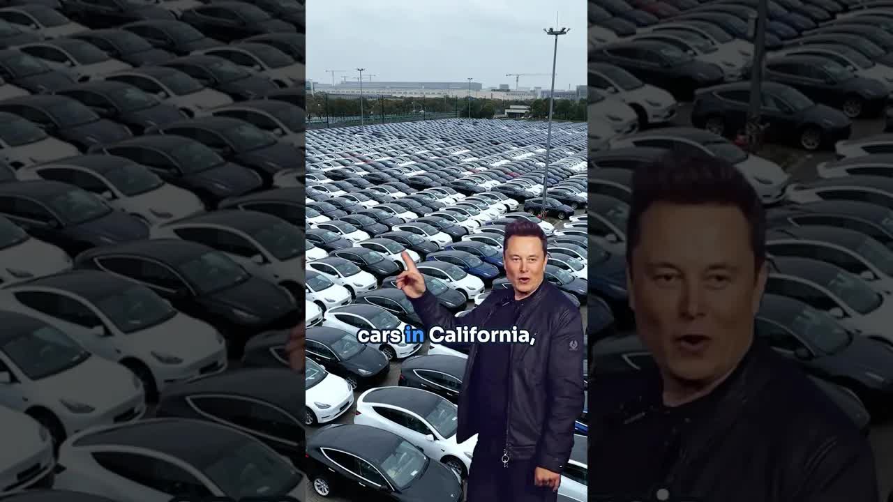 Tesla Robotaxi Wars