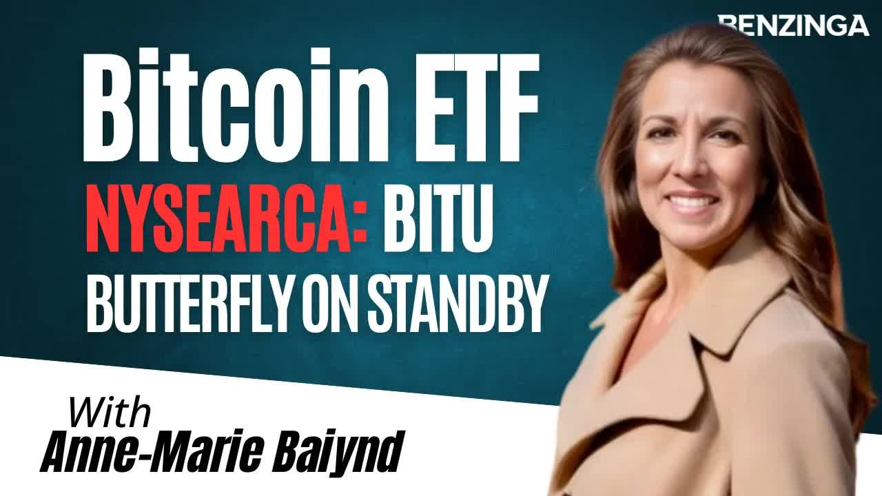 Butterflies & Bitcoin: A 30-Cent Ticket to Big Moves?