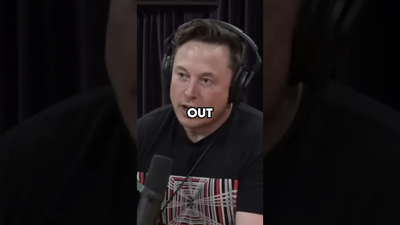 Elon Musk Dislikes Warren Buffett ?