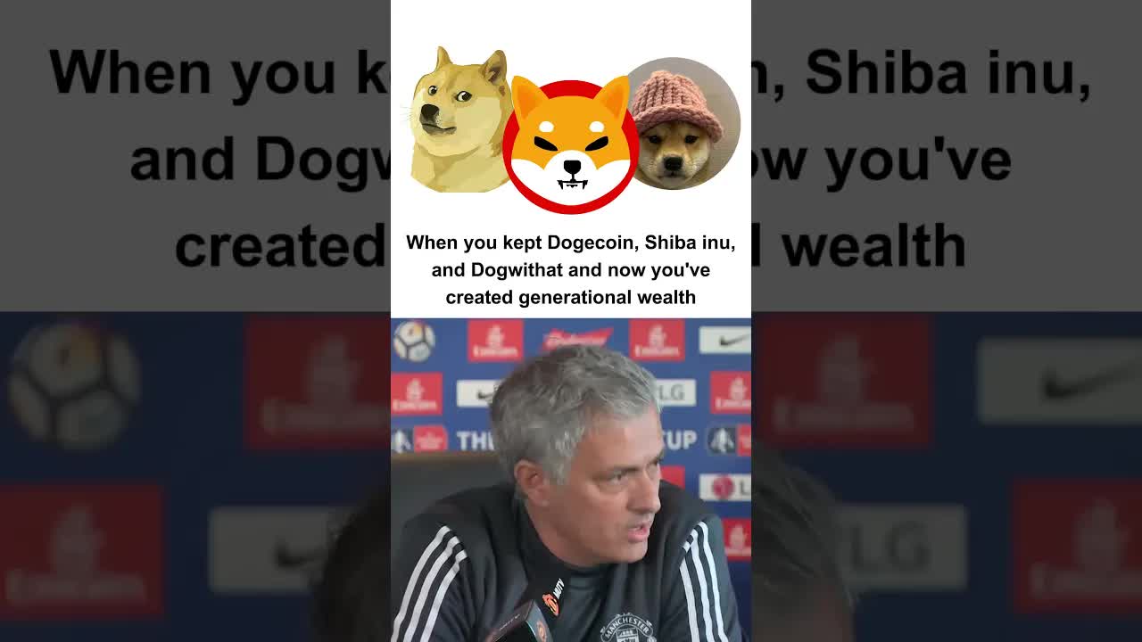 They are Investments From The Past 🤑