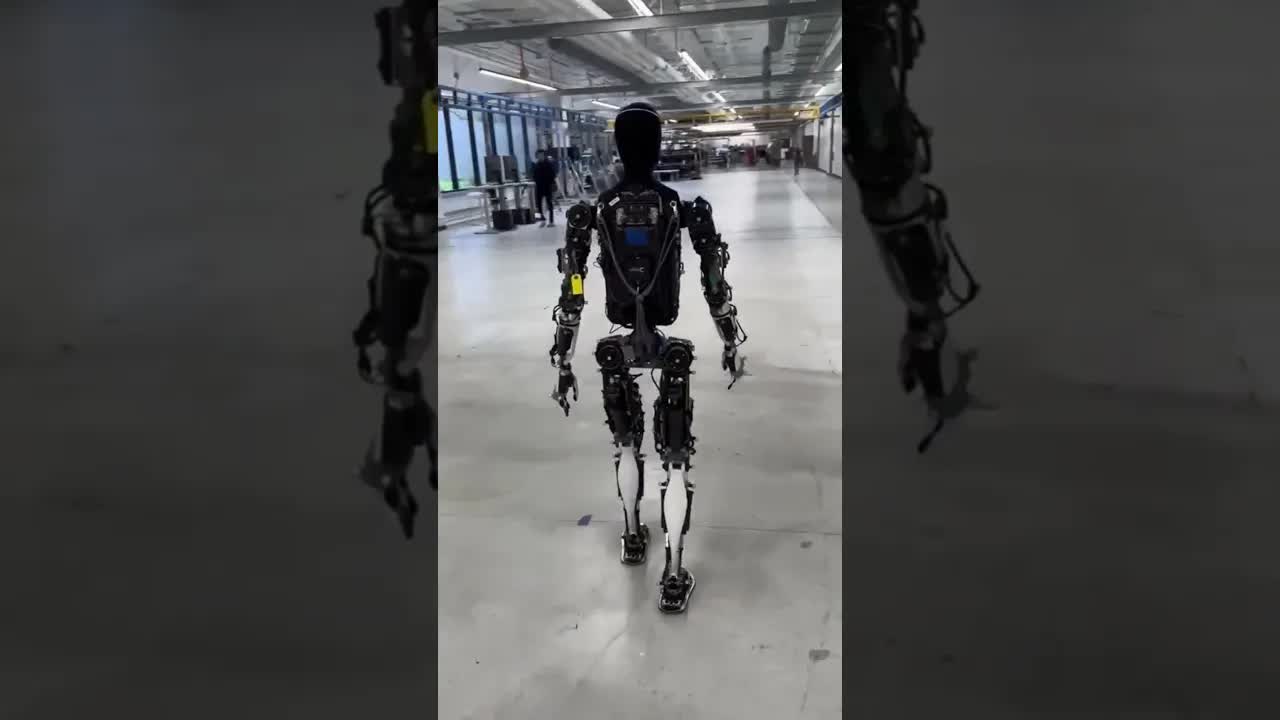 Elon Musk Takes a Walk With Optimus