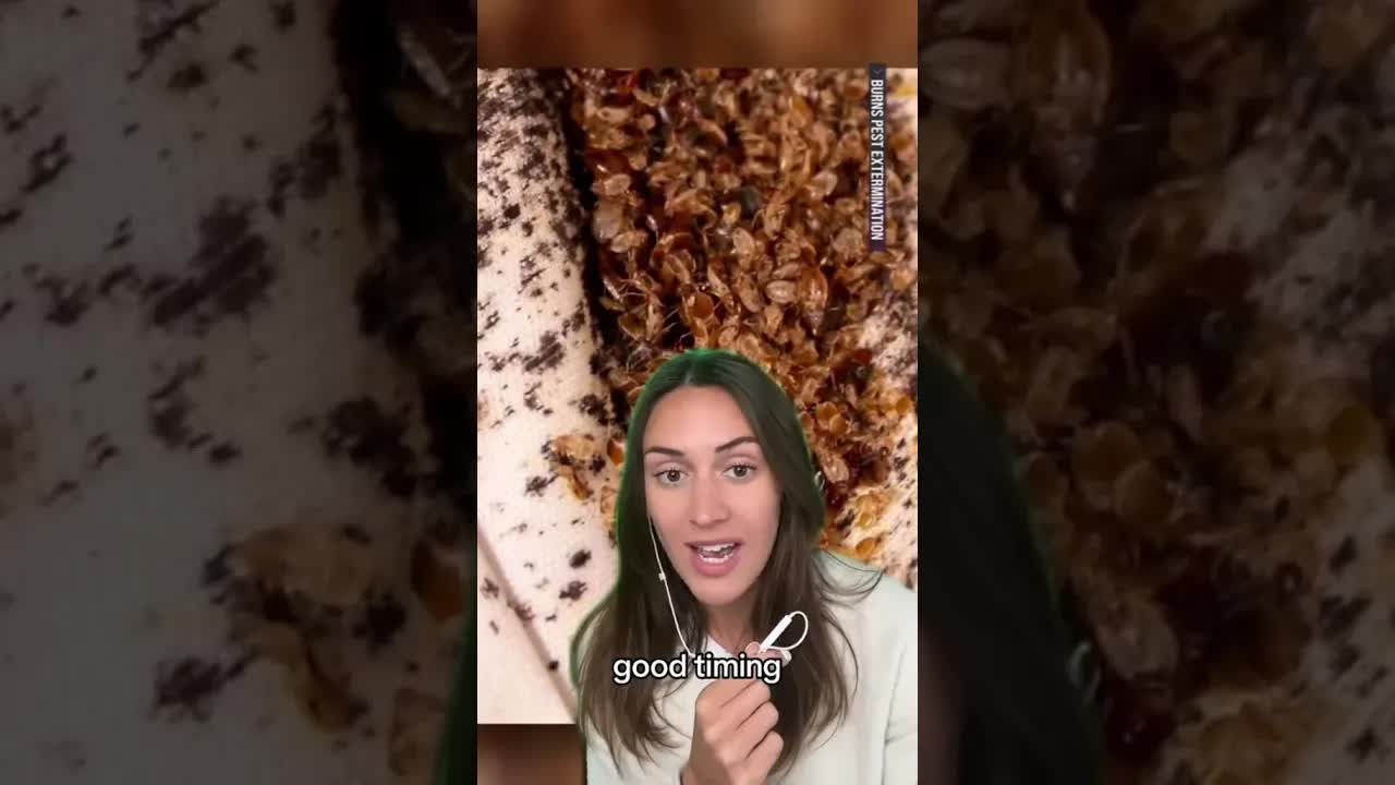 This Weeks News in 60 Seconds!