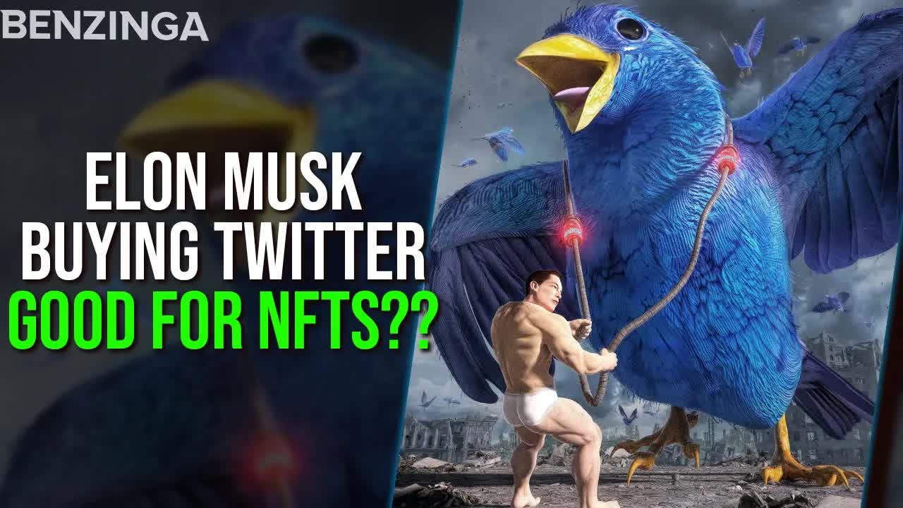 Is Elon Musk Buying Twitter Good For NFTs?? | Art Gobblers