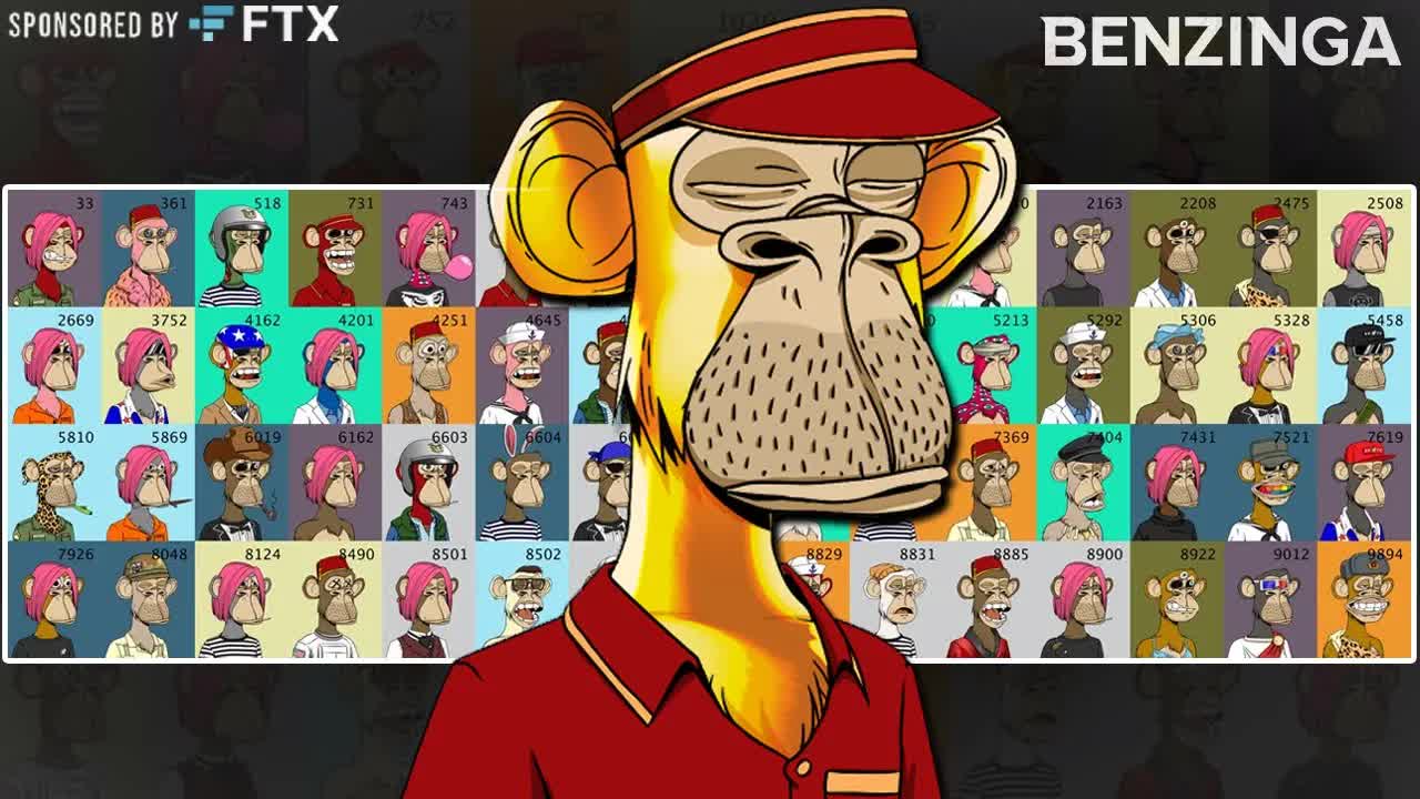 Let's Talk: NFTs - Bored Ape Yacht Club with 6th Largest holder