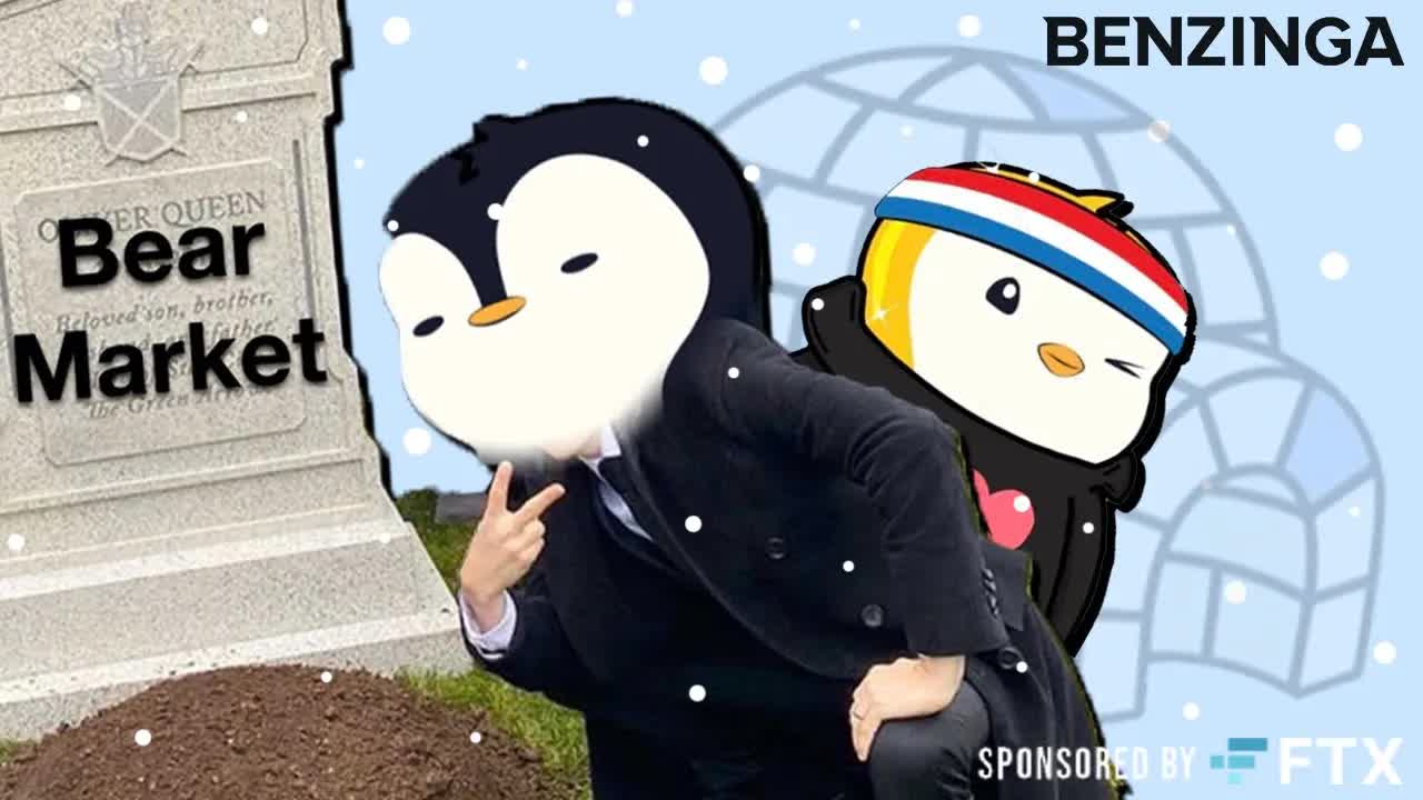 NFT Bear Market?? We're in a penguin market 🐧 Chat with Luca Netz