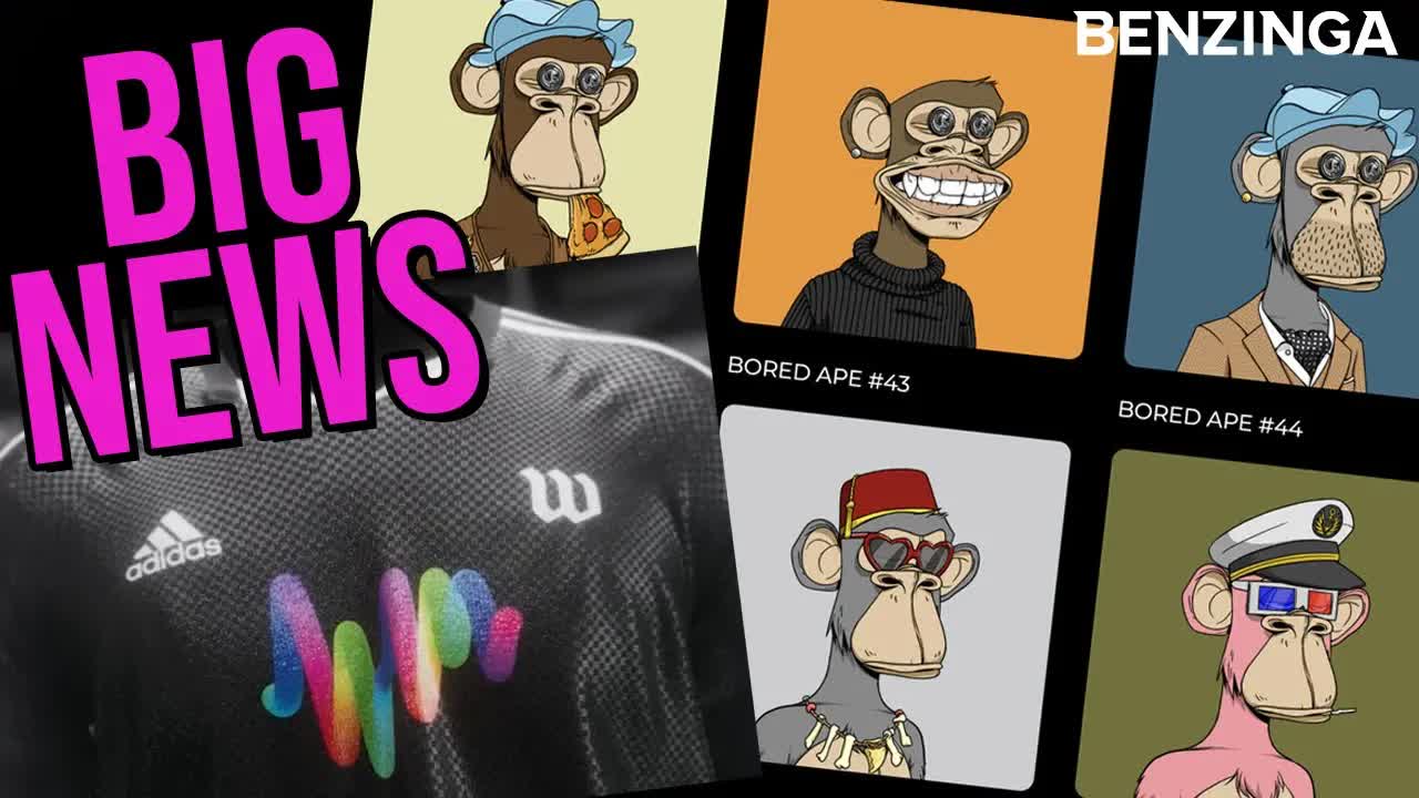 BAYC LAWSUIT, Top 10 NFTs, NFT NEWS | The Roadmap