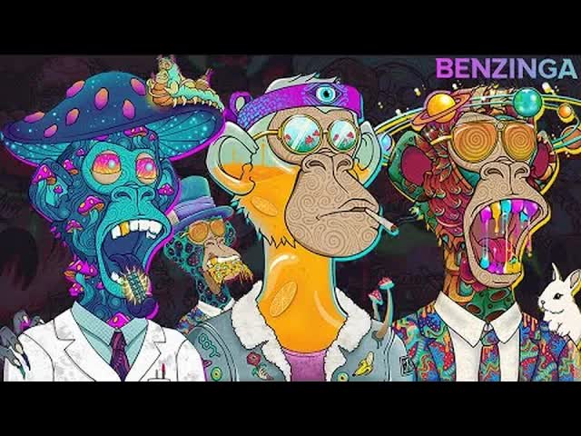 REPLAY: Trippin Ape Tribe INTERVIEW (not a cult) | Top Solana NFT Project