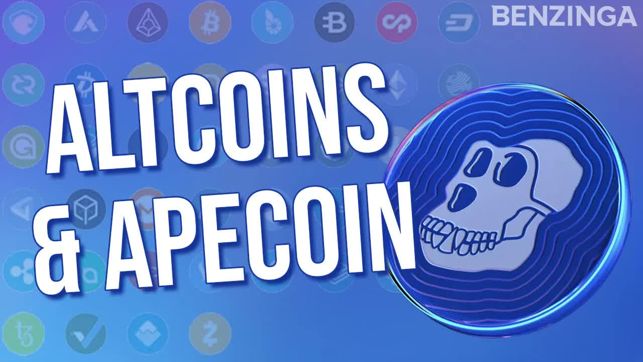 Everything Apecoin & Altcoins with The Wolf of All Streets | Web3 Anarchy