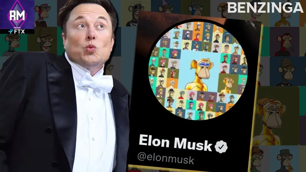 Does Elon Musk own 101 Bored Apes or Did he Right Click Save?? | Apecoin + NFT News | The Roadmap