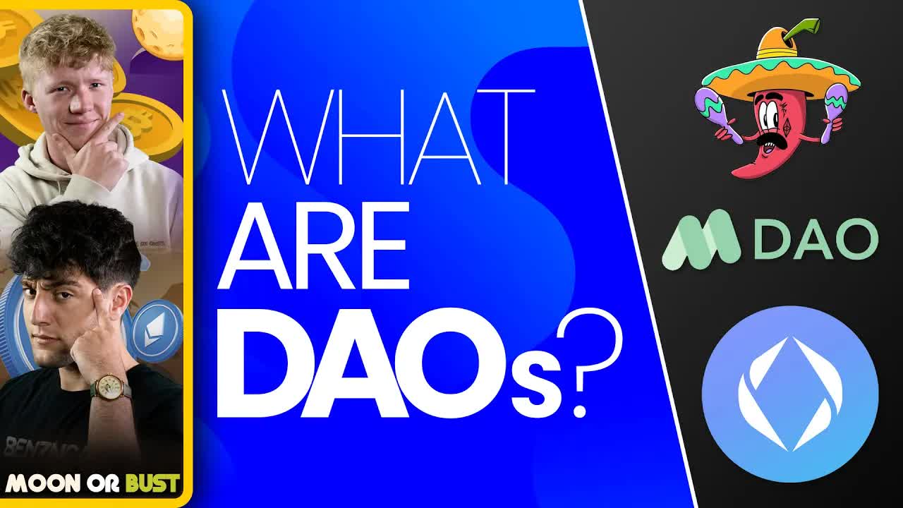 The Current DAO Landscape | Opolis Interview: Working for DAOs, With Benefits