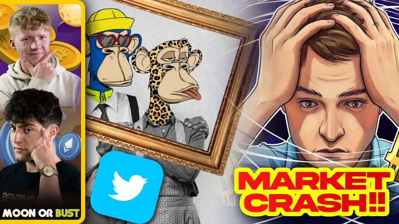 Twitter Integrates NFTs | Crypto Market Crash | Moon or Bust 🚀