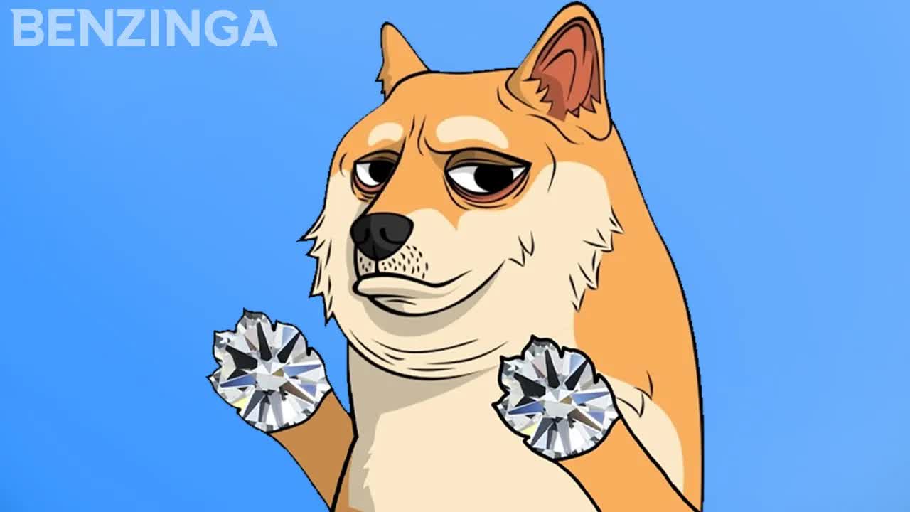 NFT Project Turned Blockchain Gaming Studio | Doge Pound Studios | The Roadmap