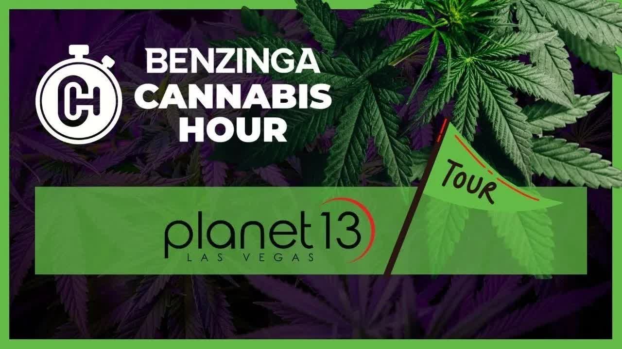 BZ REPLAY: We Go On A Tour From Planet 13 CEO! - A Deeper Look Into The World's Largest Dispensary