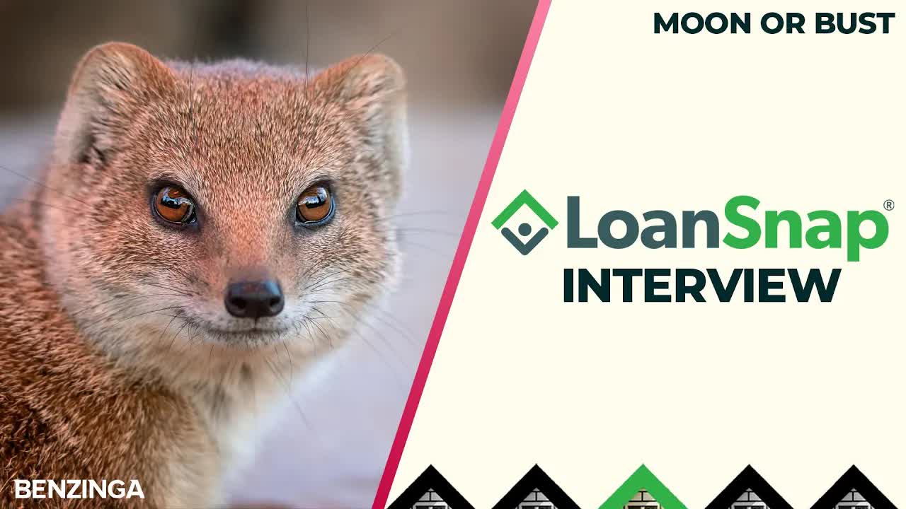 Can Mongoose Coin Flip Crypto Coin?!?! | Interview With LoanSnap | Moon or Bust