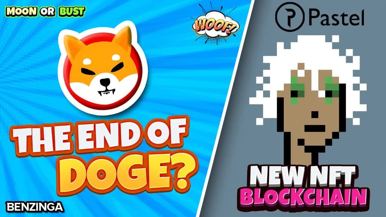 Dog Coin Mania: DOGE, SHIB, FLOKI, Saitama | Pastel Interview | Moon or Bust 🚀