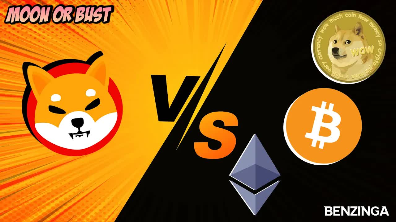 Will NFTs Outperform in Q4? | Look Out DOGE, SHIB ATH! | Moon or Bust 🚀