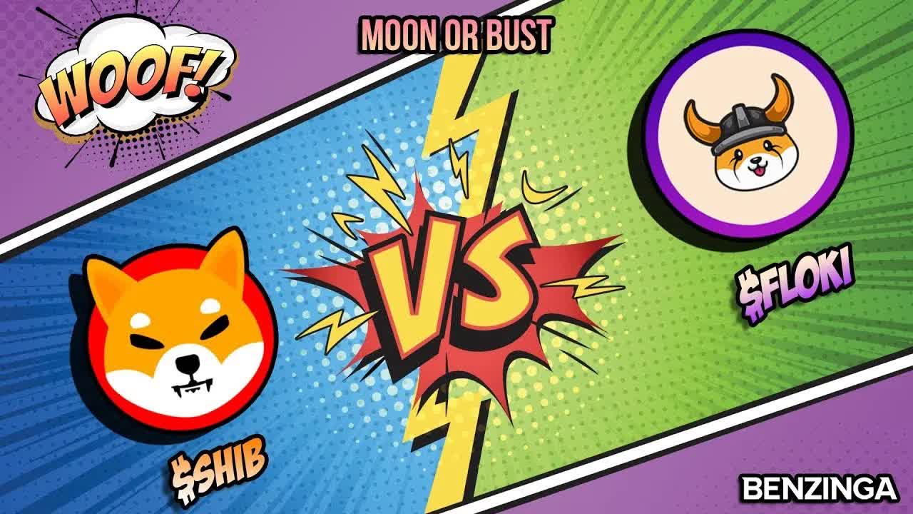 REPLAY: Shiba Inu vs. Floki Inu? | Shiba Inu Special! | Moon or Bust 🚀