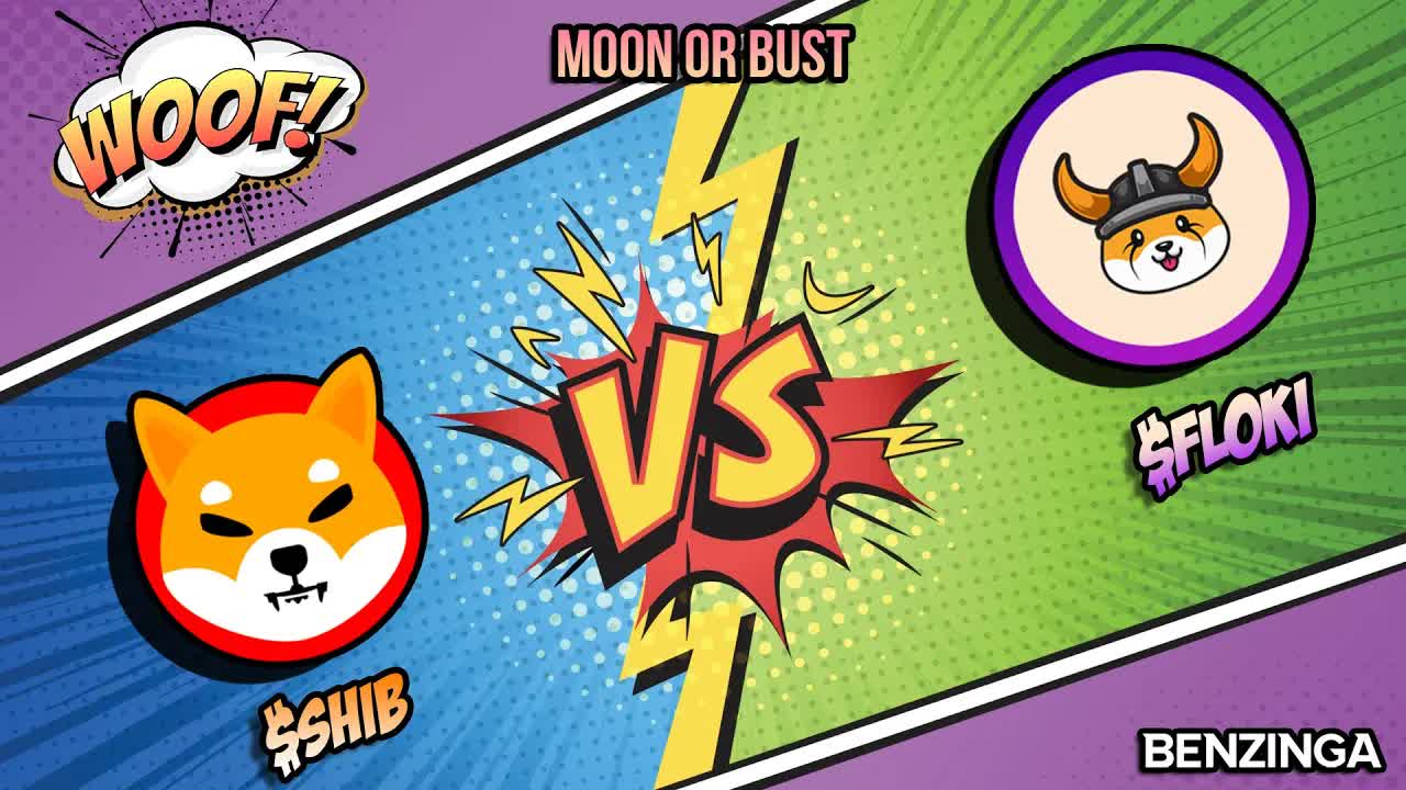 Shiba Inu vs. Floki Inu? | Shiba Inu Special! | Moon or Bust 🚀