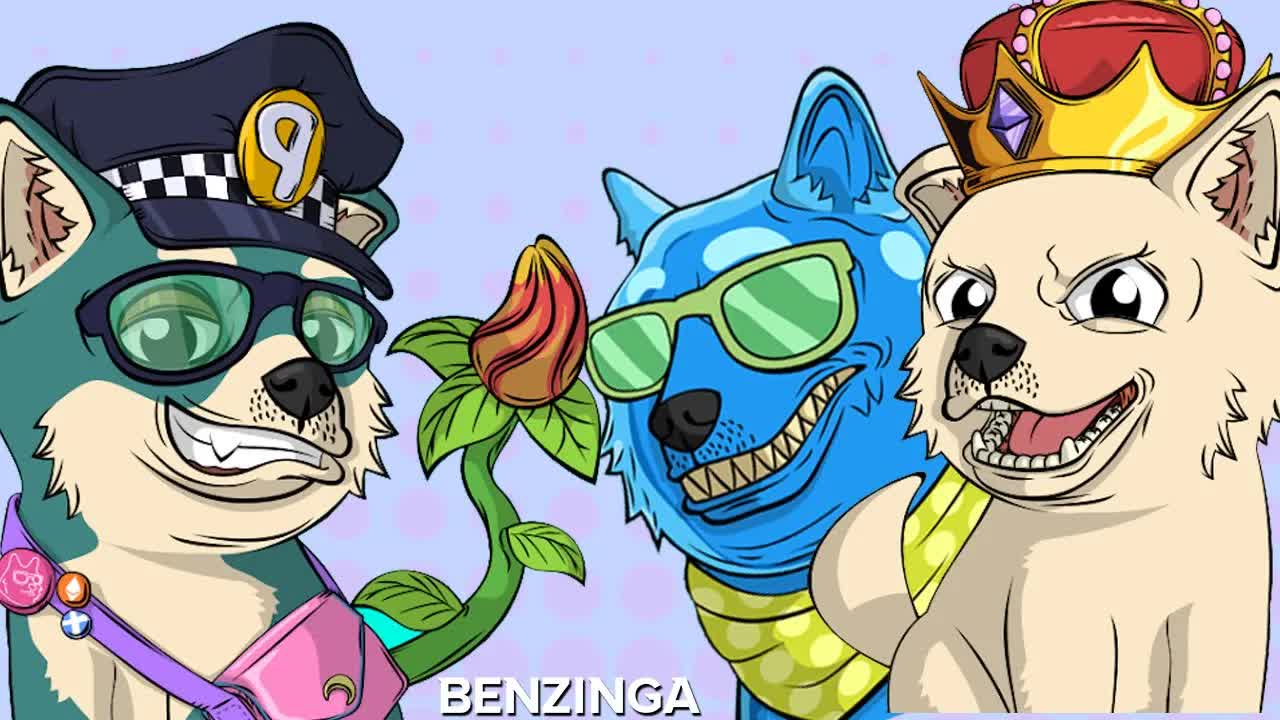 DOGE, PUPPIES, NFTs | The Doge Pound | The Roadmap | Crypto & NFT ART LIVE 🚨