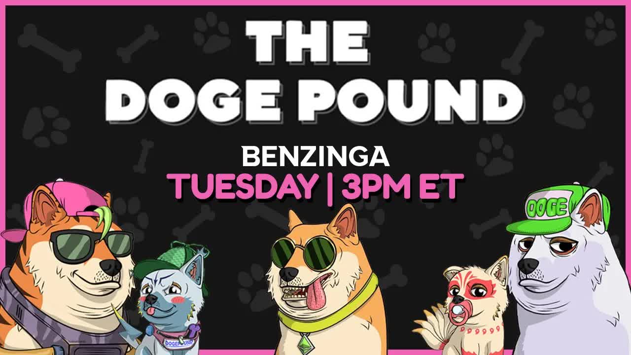 NEXT HUGE NFT? | The Doge Pound | The Roadmap | Crypto LIVE 🚨