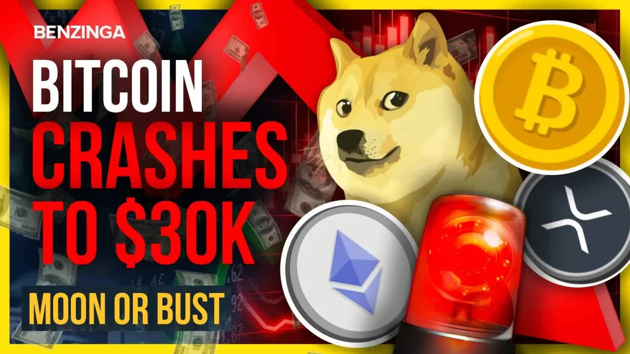 Bitcoin CRASHES to $30k | Moon Or Bust  | Crypto On Sale!