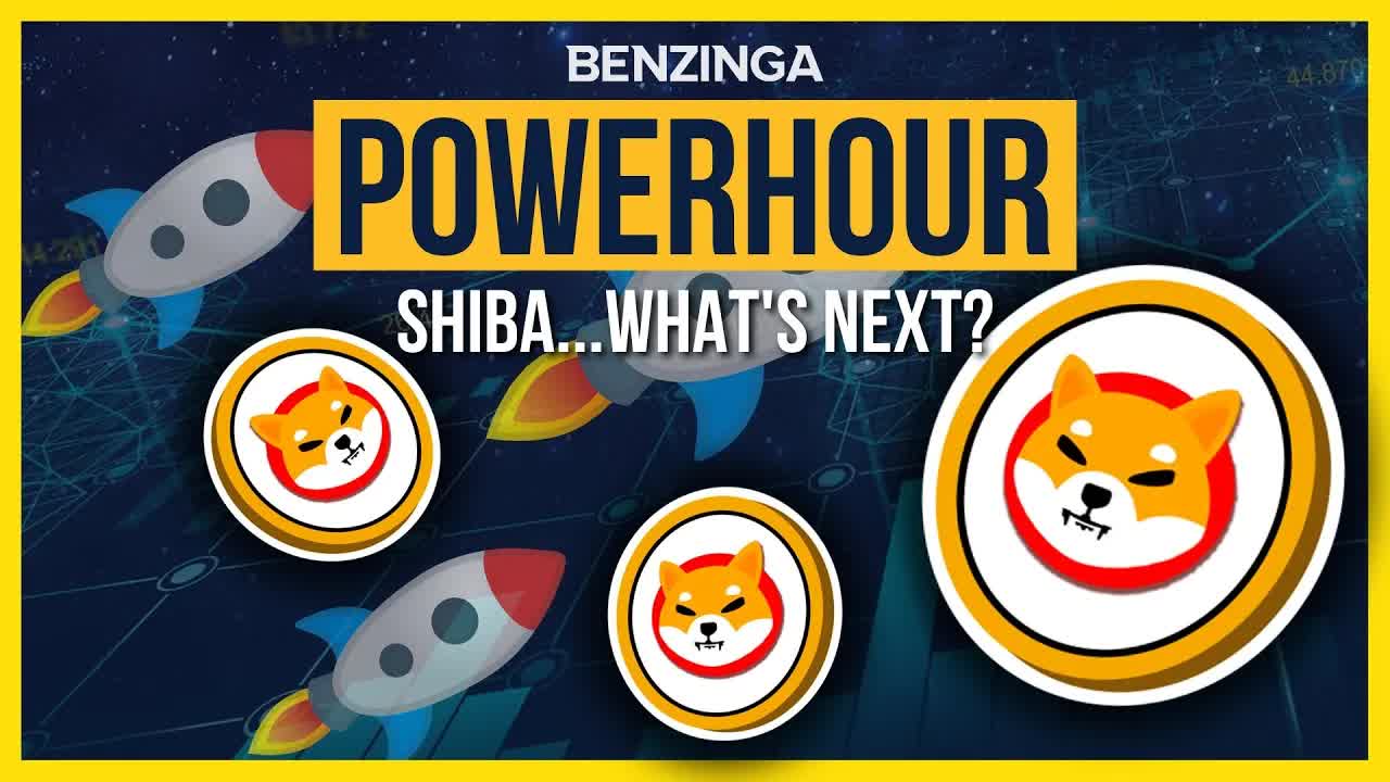 Shiba Inu Early Investor | Power Hour | Benzinga Stock Market Live