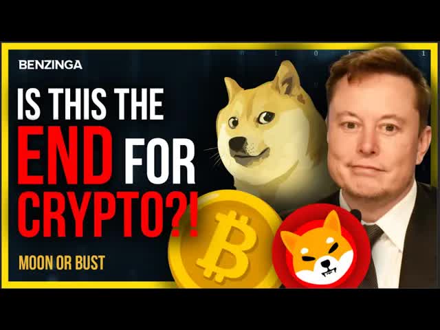 IS THIS THE END FOR CRYPTO?!?!? | Moon Or Bust |Musk's Market, Vitalik Burns Shiba