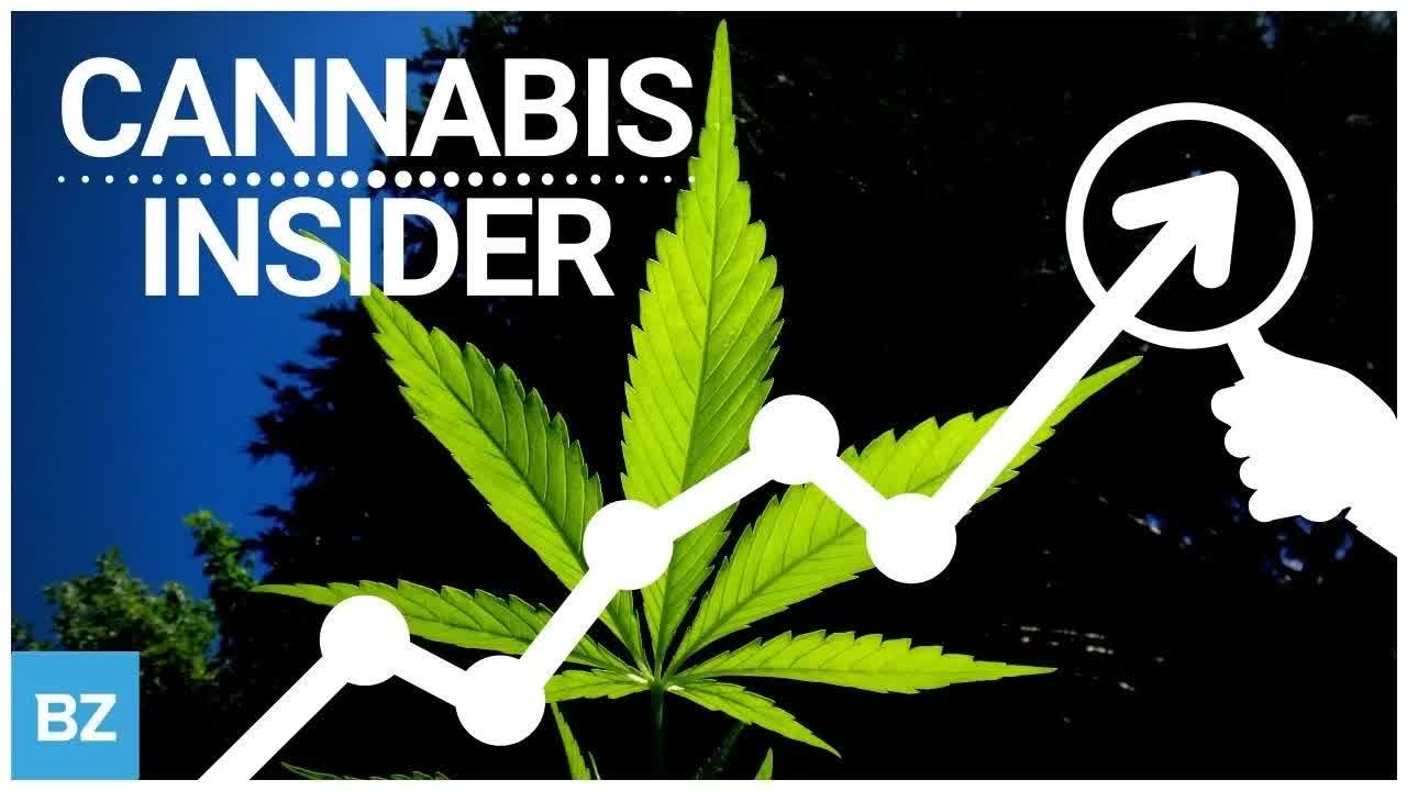 Cannabis Insider | Benzinga Live Stock Market