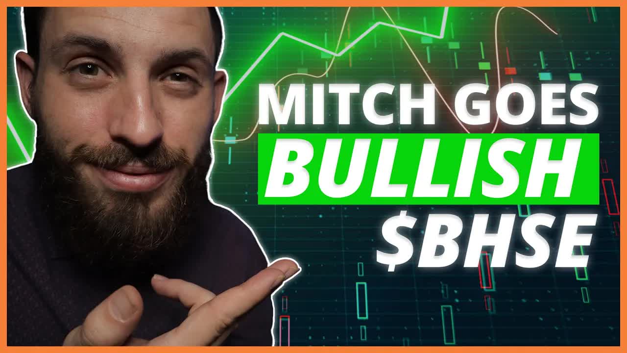 Mitch Gets Bull in BULLHORN $BHSE | SPACs Attack