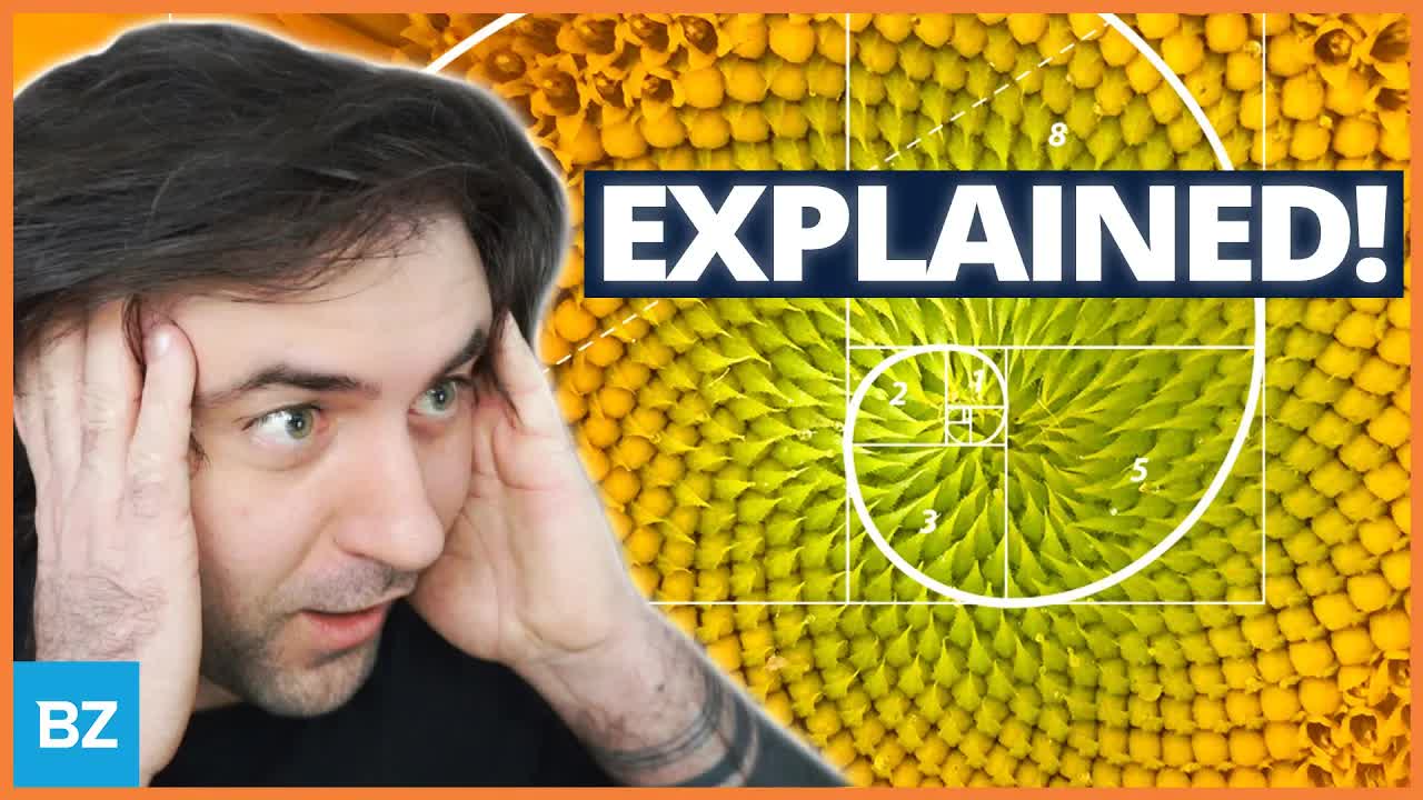 Neal Explains the Fibonacci Sequence | Get Technical