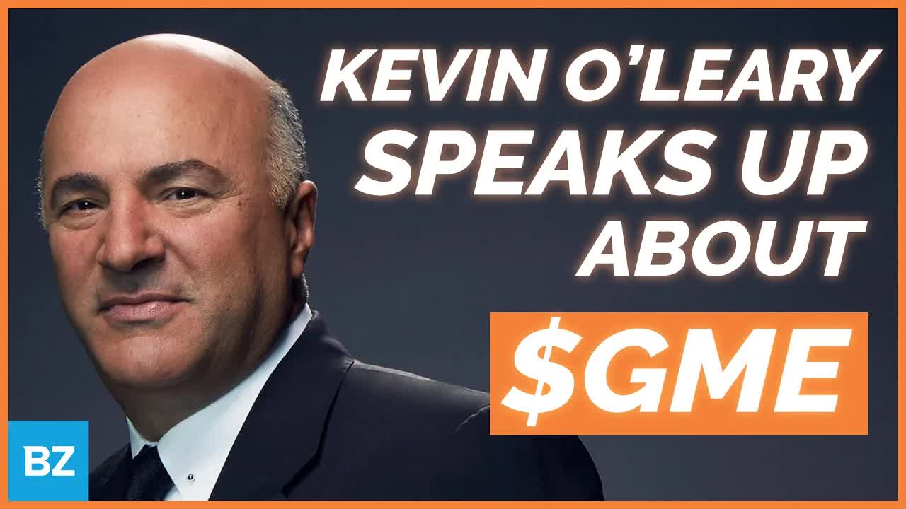 Kevin O'Leary, Siding W/ The Smaller Investor | $GME | ZingerNation