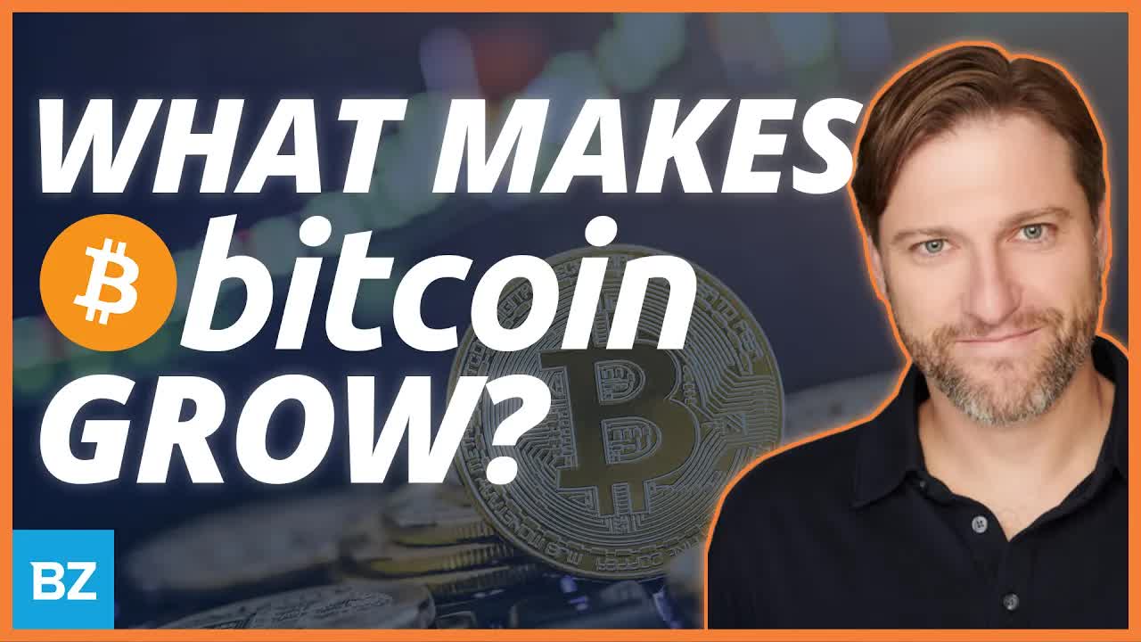 Bitcoin BTC Cycle Up! | ZingerNation
