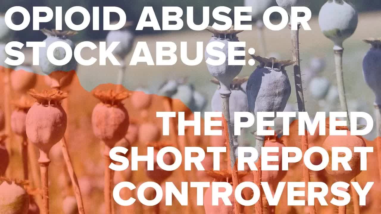 Opioid Abuse or Stock Abuse: The PetMed Short Report Controversy