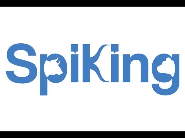 Exclusive Interview with Clemen Chiang, Founder & CEO at Spiking - Benzinga Fintech Awards